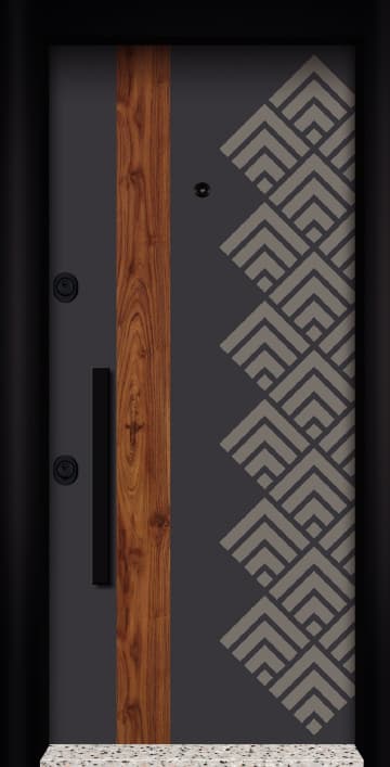 Special Design Modern Steel Door